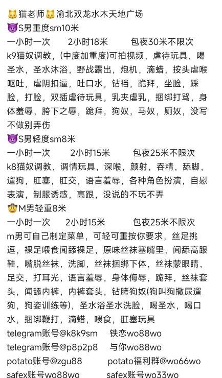 全能猫老师