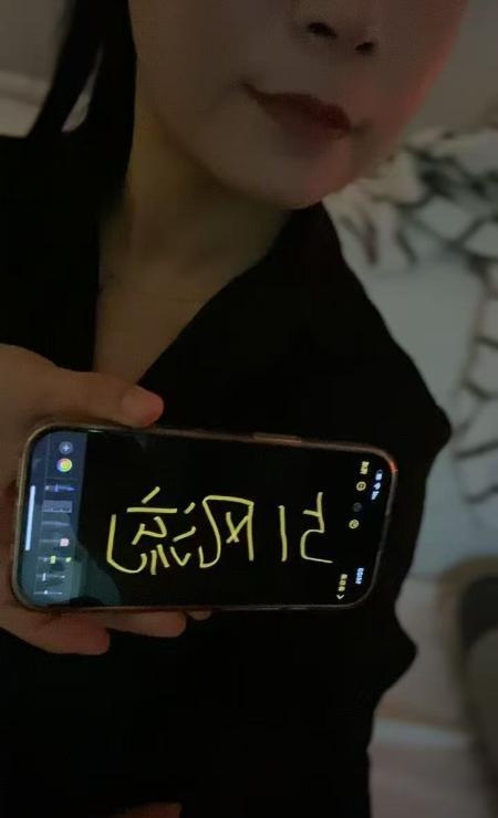河西美艳少妇