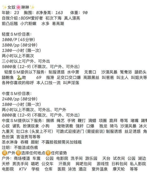 SM女奴琳琳