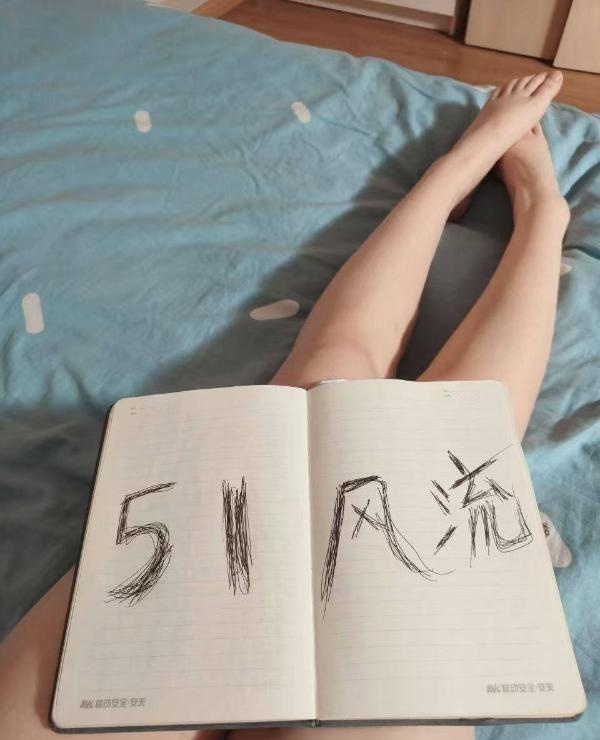 南开安木爽记