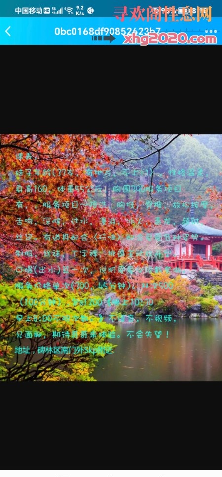 西安本地美少妇
