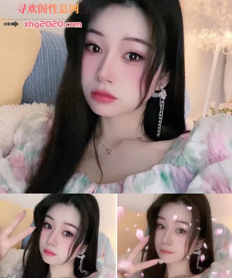 龙华豆豆
