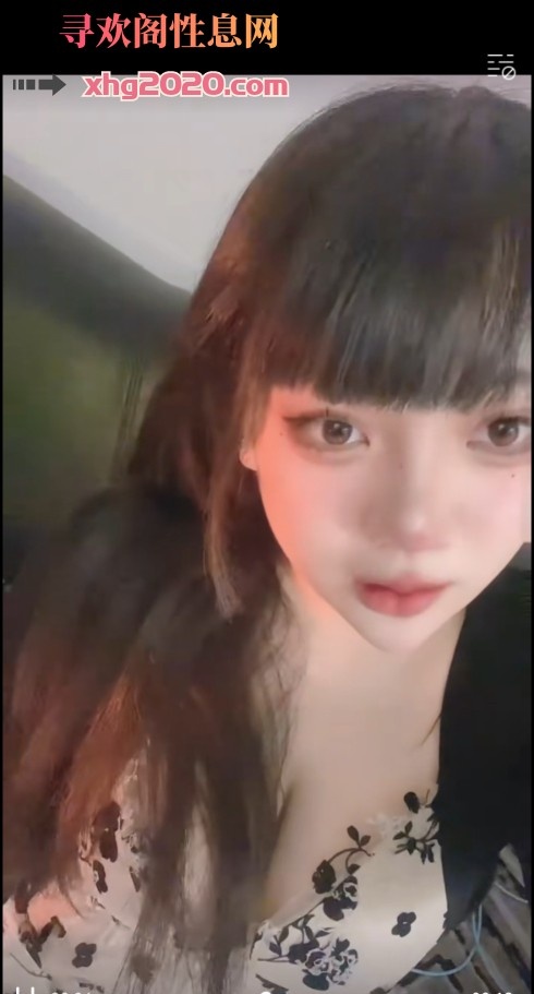 沈阳铁西大熊年轻小坦克悠悠