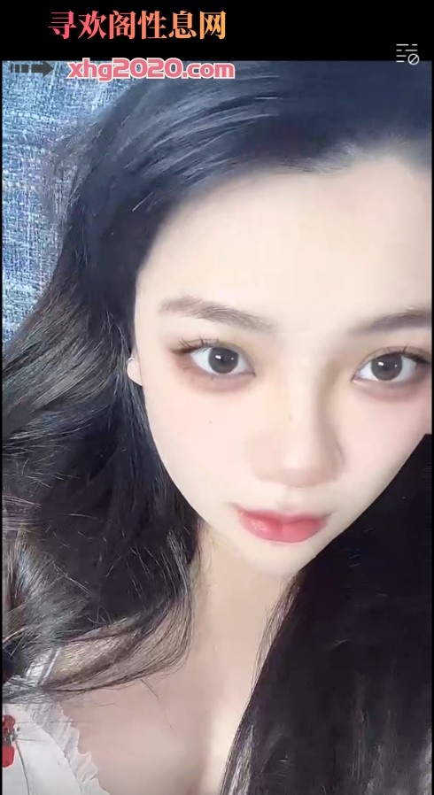 沈阳铁西大熊年轻小坦克悠悠