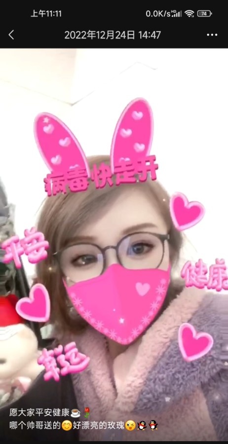 退役车模