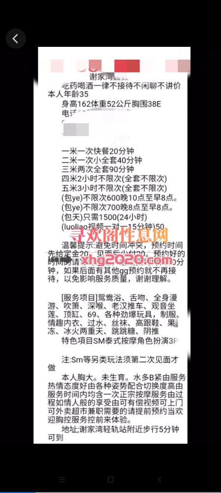 谢家湾鑫鑫