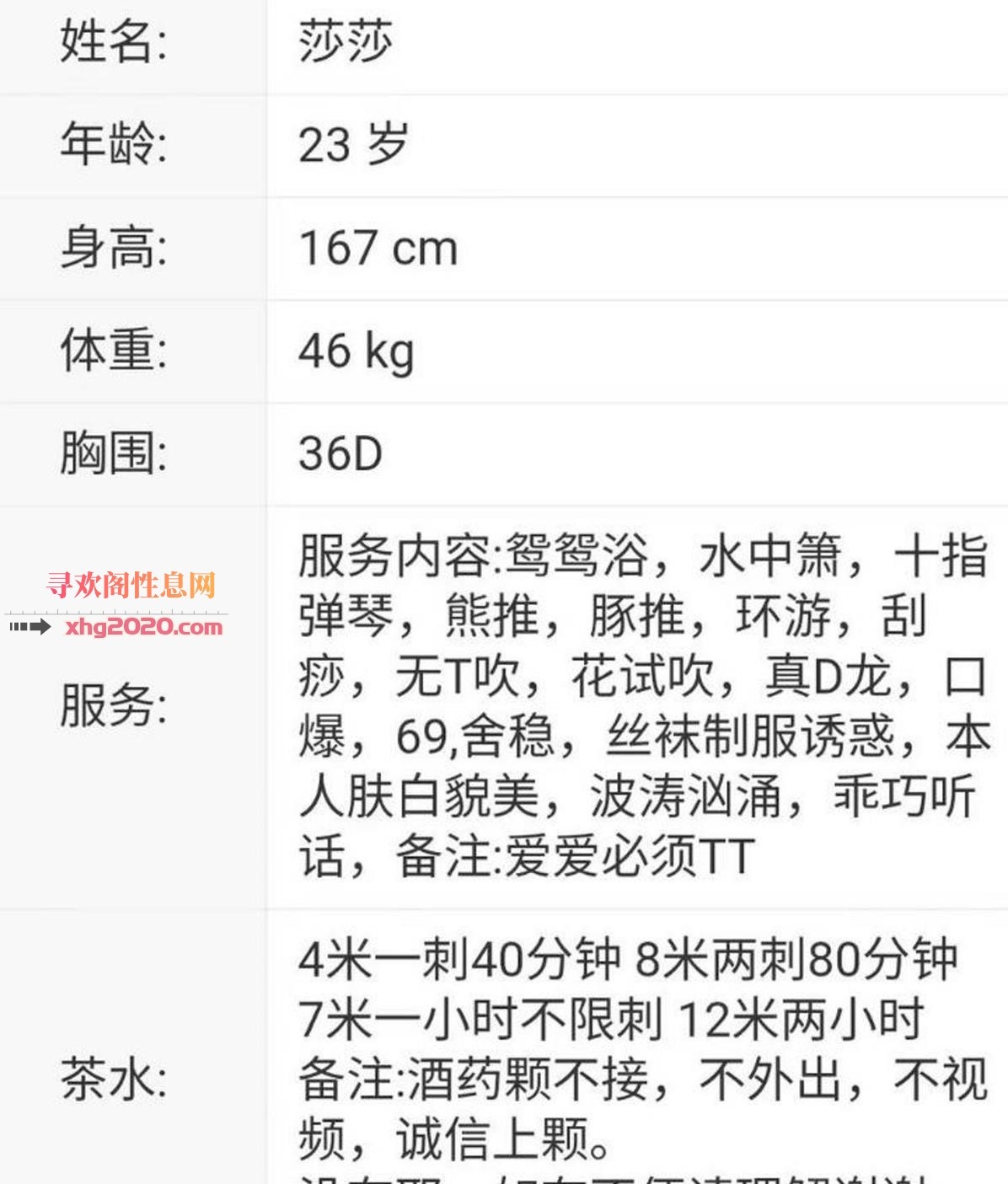 广州温柔玉女莎莎