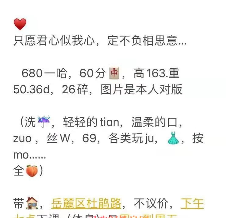 长沙河西大胸