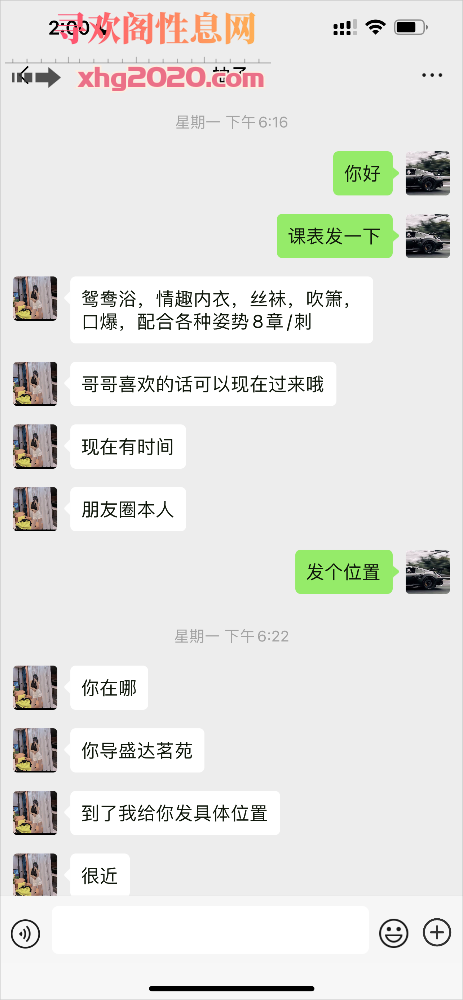 鄞州区大长腿橙橙