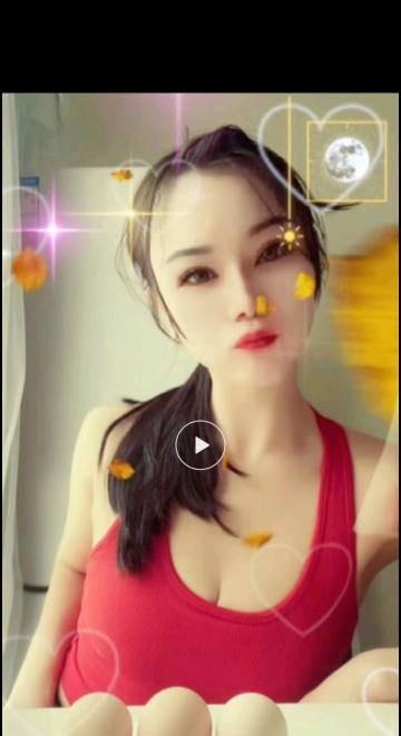 国贸环保小燕子