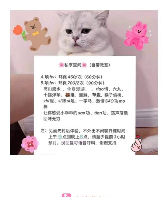 国贸环保小燕子