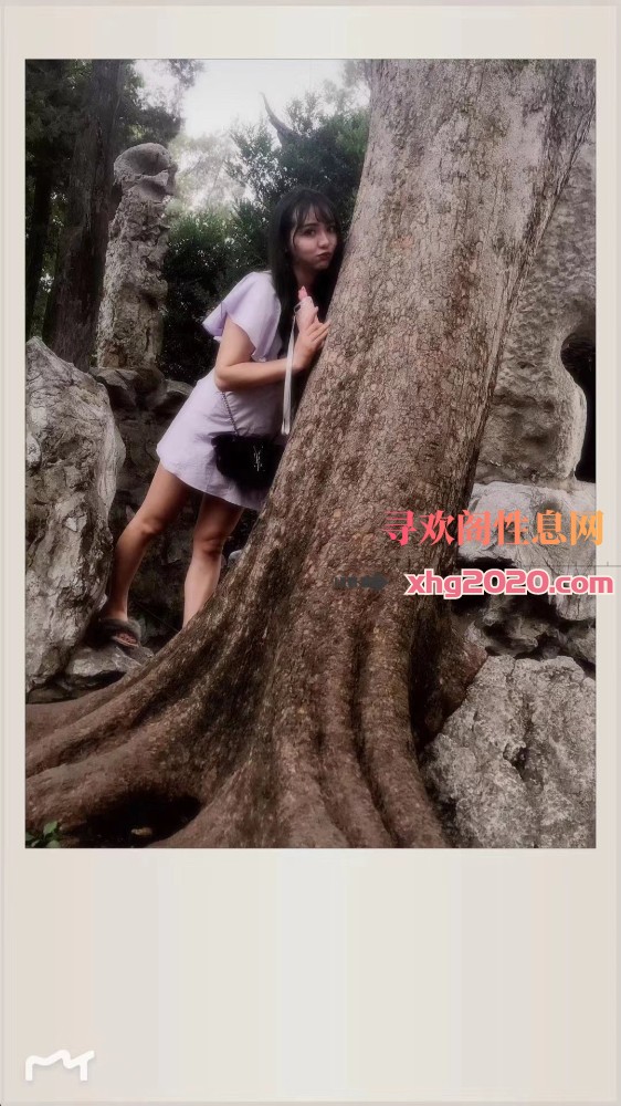 秦淮小樱桃