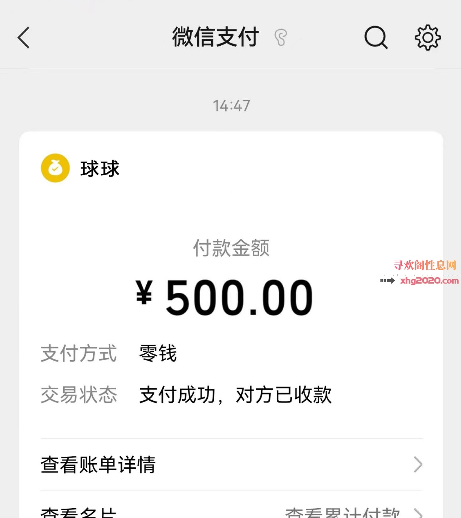 广州黄埔靓妹球球