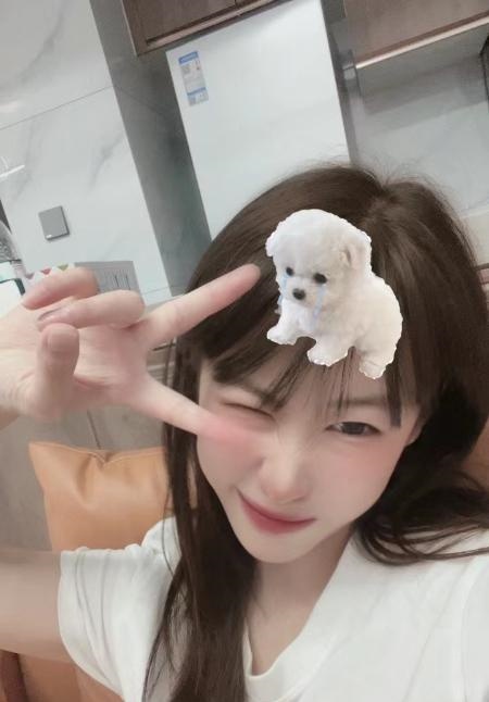 宝安颜值美女