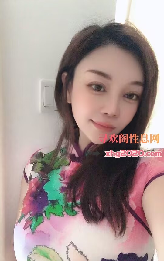 宝安小肥猫
