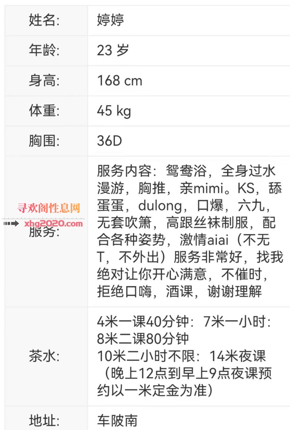 红唇三点式婷婷御姐