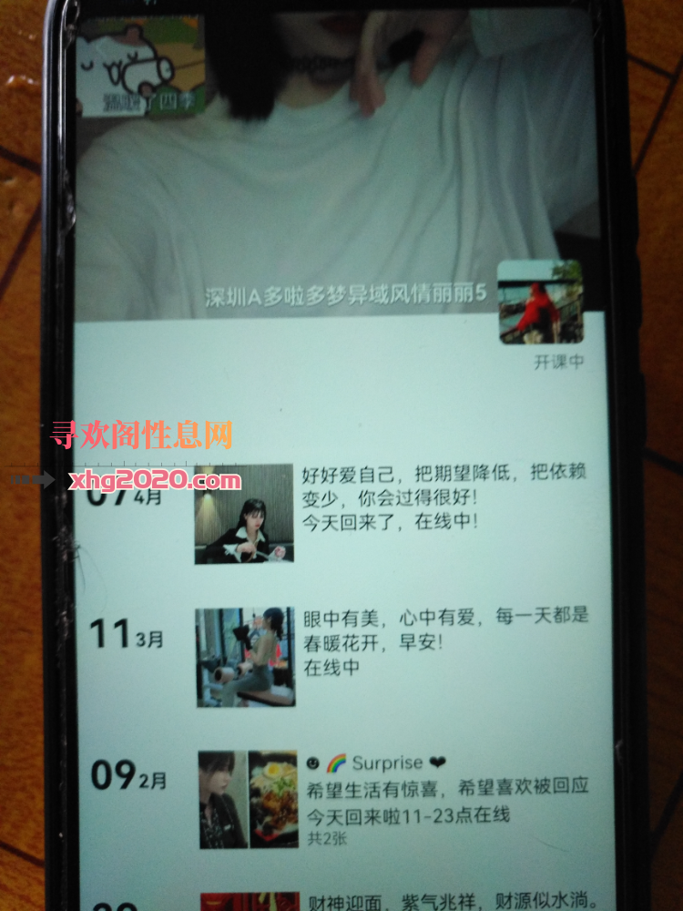 深圳多拉多梦丽丽