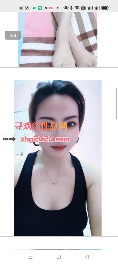 蓉蓉归来