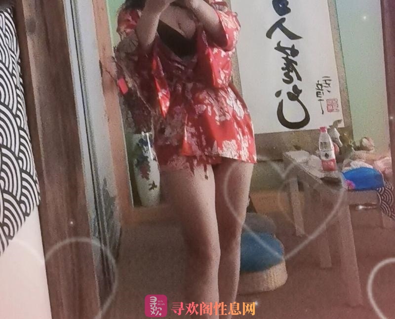 循礼门狗尾巴草