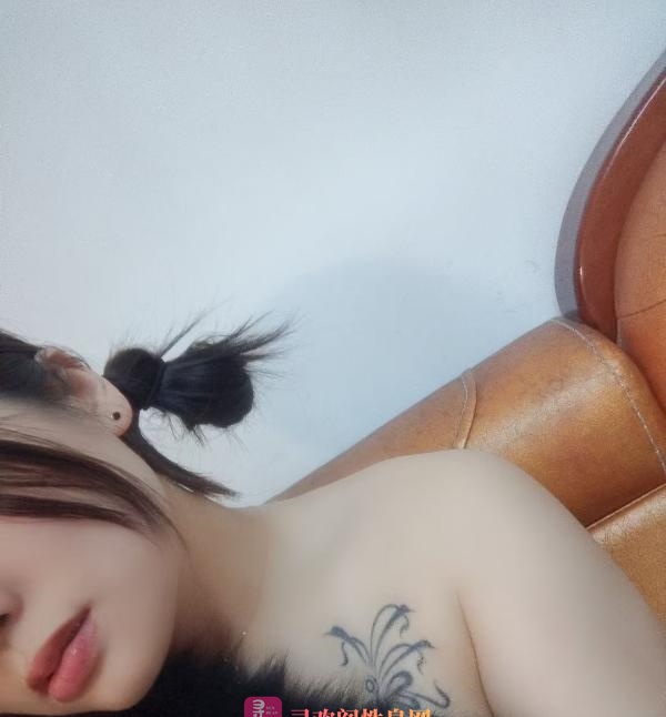 德州双凤