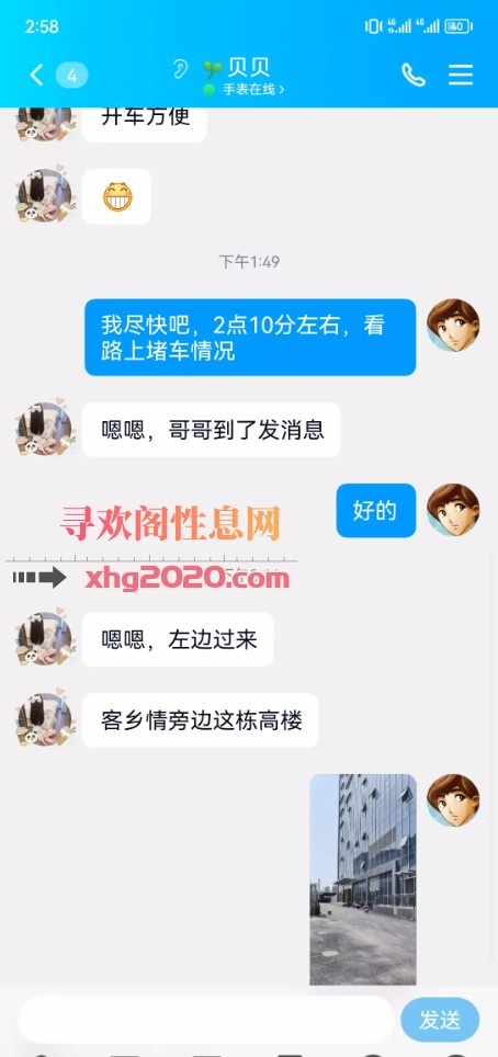 高新贝贝