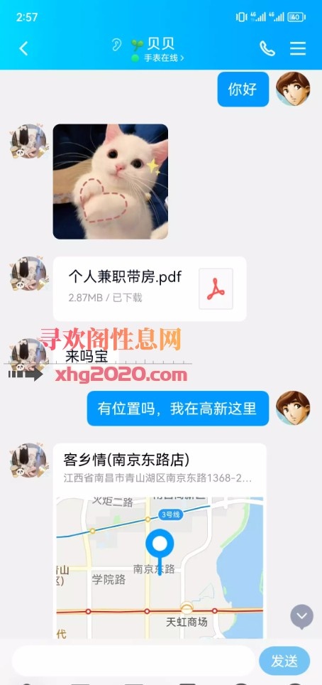 高新贝贝