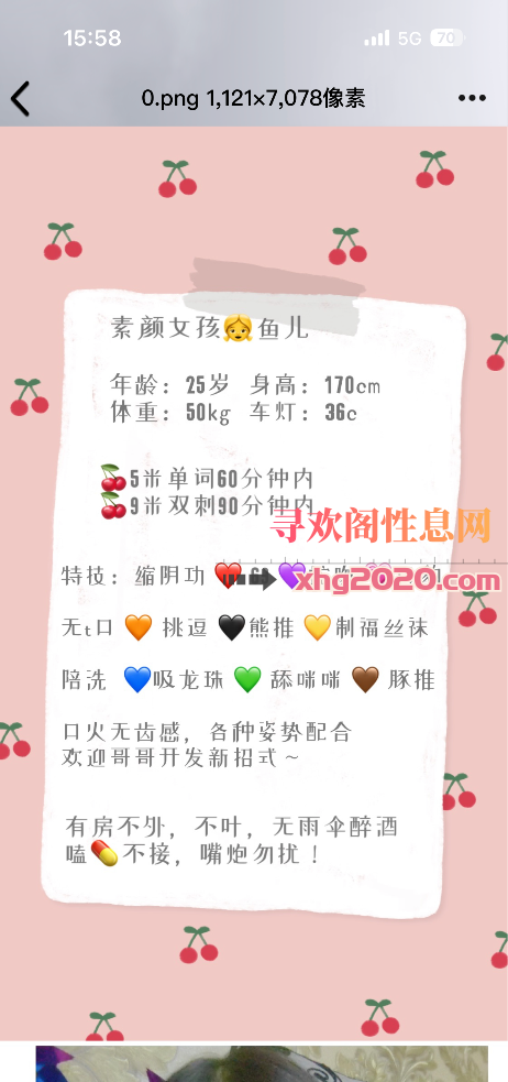 长安小鱼儿
