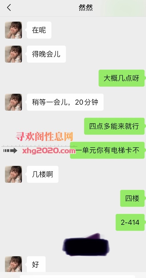 沧州河间小胖探花