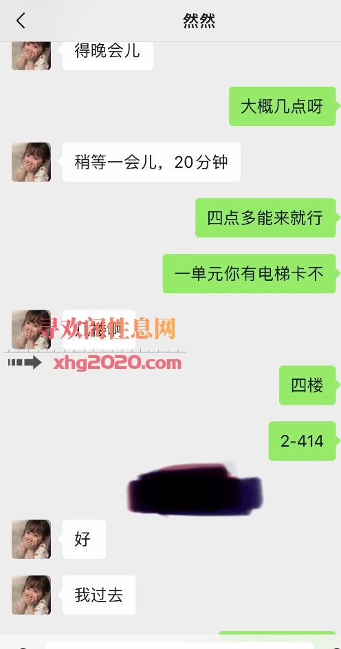 沧州河间小胖探花