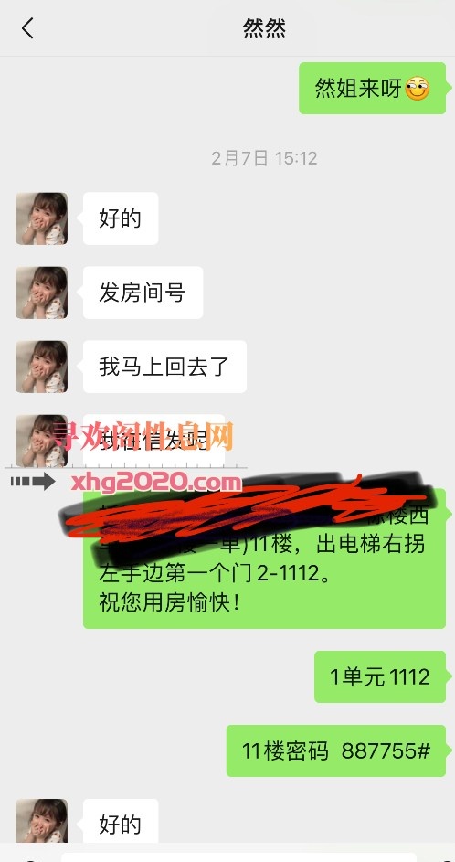 沧州河间小胖探花