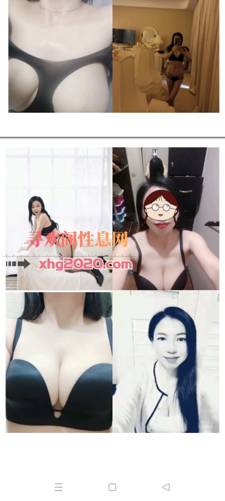 桥北悦悦
