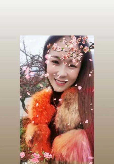 夫子庙服务系