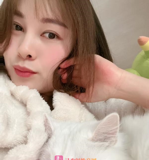 武进燕子