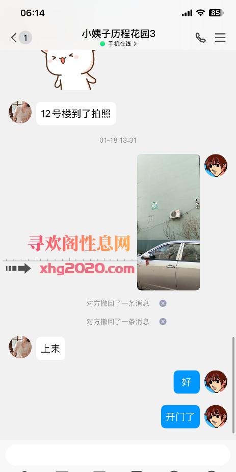 历下少妇
