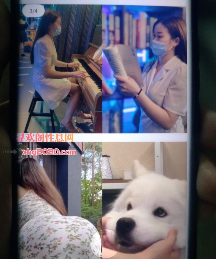 嘉禾钢琴老师