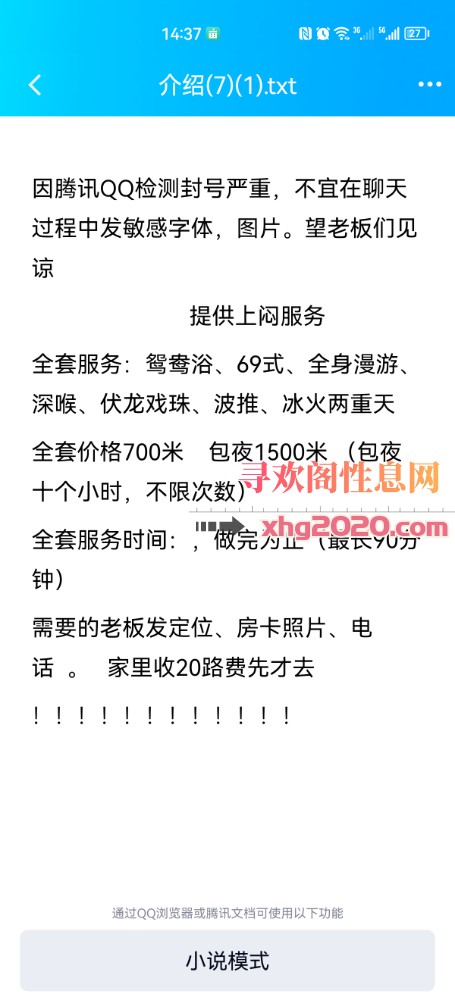 沈阳依依