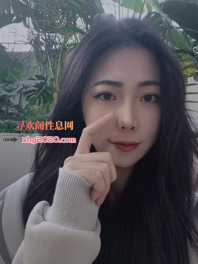 合肥小猫