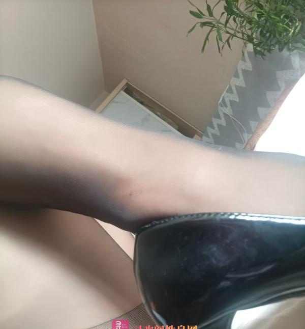 河西体北佳怡
