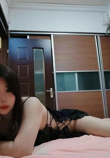 中南猪小白