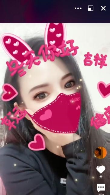 张府园楼凤