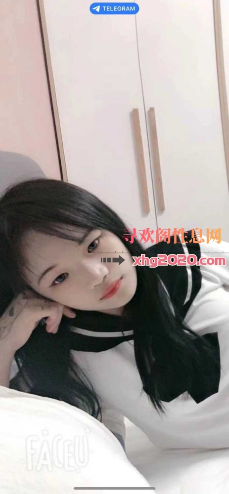 东莞东城小布丁