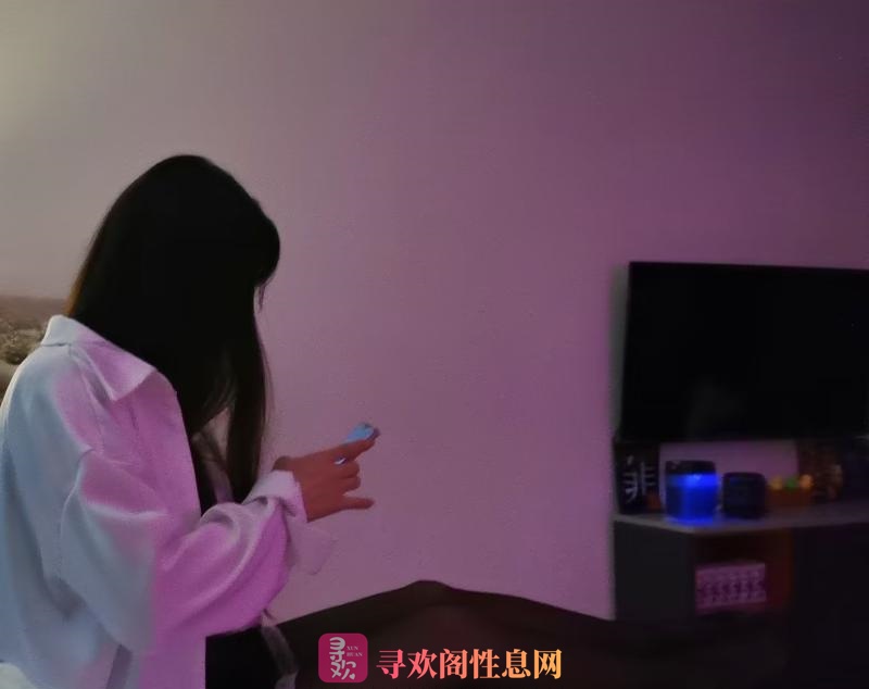 禅城服务型圆圆