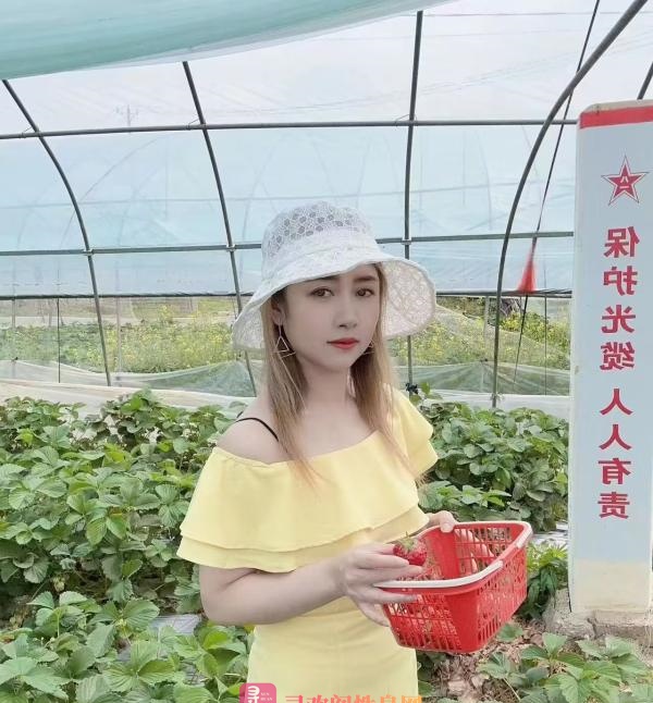 小菲妹子