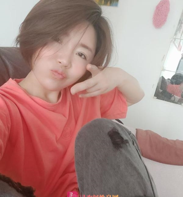 铁西奇奇
