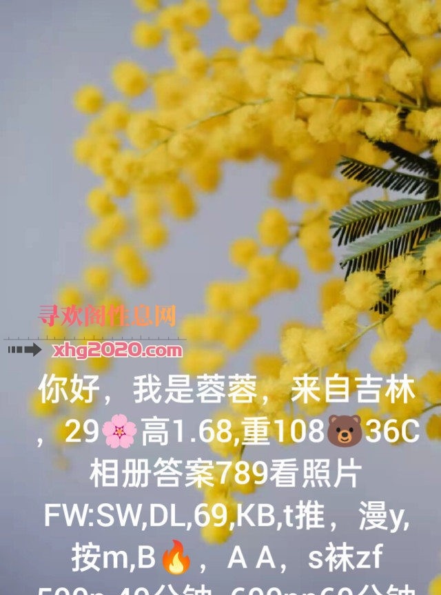 普陀600两次