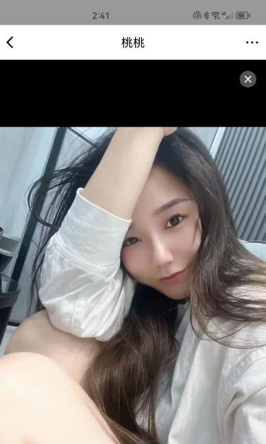 静安桃桃