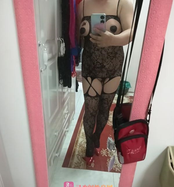 庐阳熟妇蔷薇