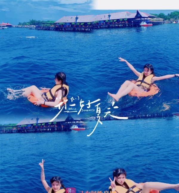 下沙小猫