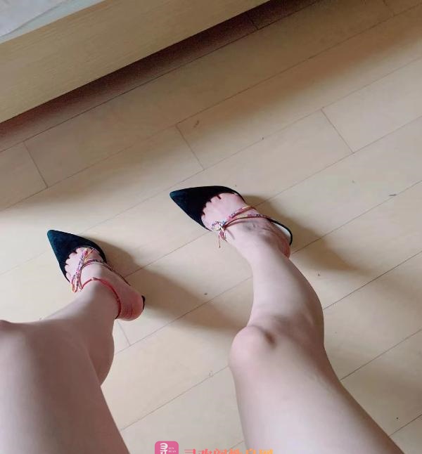 夫子庙中项爽记