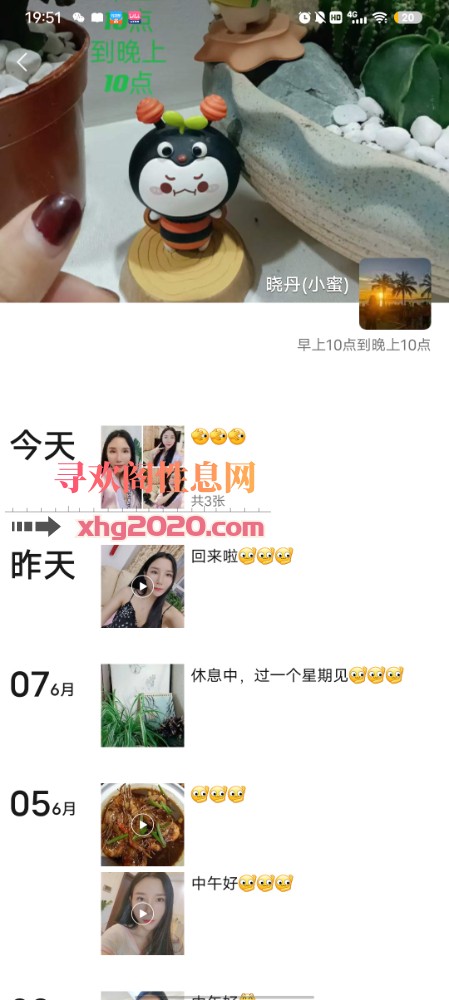 杭州小蜜蜂回来喽